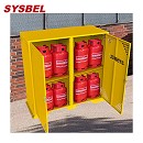 SYSBEL西斯貝爾LP/OXY網狀氣瓶柜WA720216
